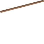 Sammelschiene